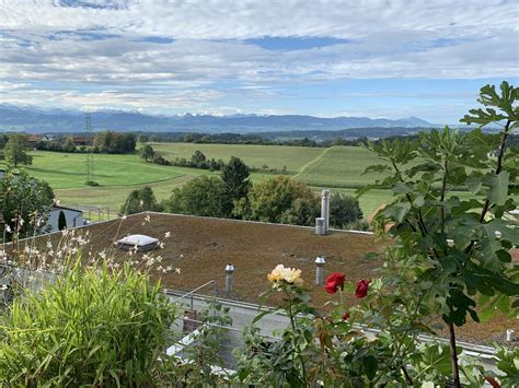 Wohnung Haus mieten in 8624 Grüt Gossau ZH homegate ch