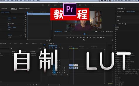 「pr」听说你想自己做lut？pr自制调色lut小技巧哔哩哔哩bilibili