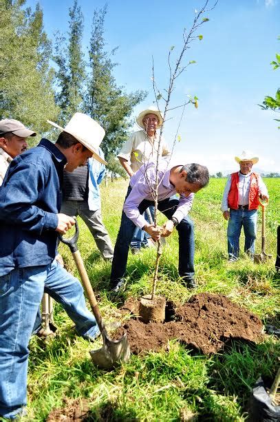 Conmemorarán el día mundial de la educación ambiental