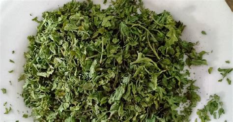 Daun Parsley Kering Untuk Apa Zachariahtarofuller