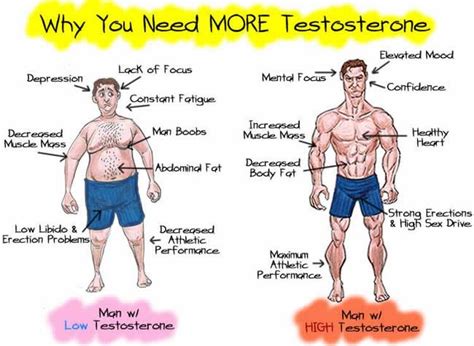 5 Proven Ways To Boost Your Testosterone Levels Naturally Beast Nutrition