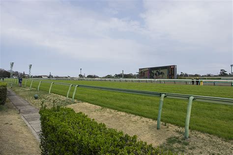 2022年8月28日 札幌競馬場の馬場状態傾向分析（芝） 競馬分析com