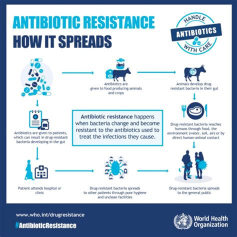 Basic Principles Of Antimicrobial Therapy Flashcards Quizlet