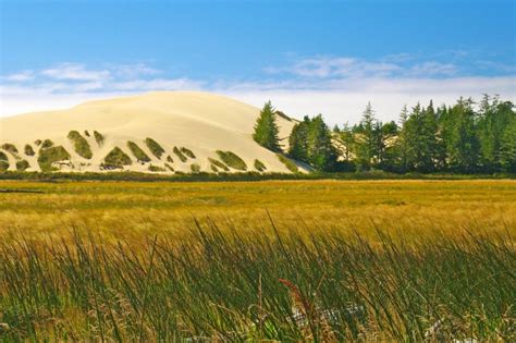 Oregon Dunes - Pentax User Photo Gallery