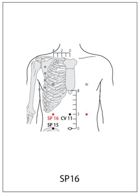 Sp Acupuncture Point Acupuncture Point Locations Review Flipboard