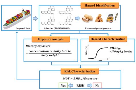 Toxins Free Full Text Assessing Aflatoxin Exposure Risk From