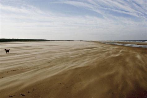 Dog walk at Holkham Beach, North Norfolk · Norfolk · Walkiees