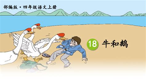 部编四上语文《18 牛和鹅 》课件共63张ppt 21世纪教育网