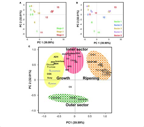 Principal Component Analysis Pca Of Estimated Oxygen Demand And Download Scientific Diagram