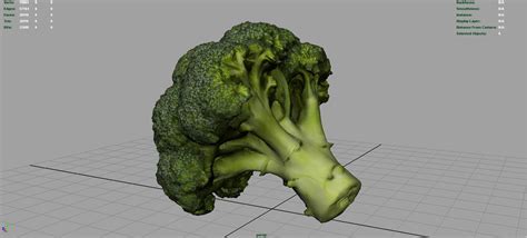 3d Model Broccoli Vr Ar Low Poly Cgtrader