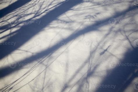 Shadows from trees 9656957 Stock Photo at Vecteezy