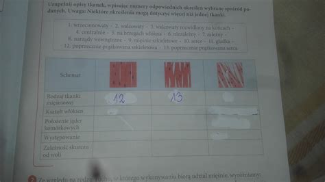 Pomocy rysunki przedstawiają trzy rodzaje tkanki mięśniowej