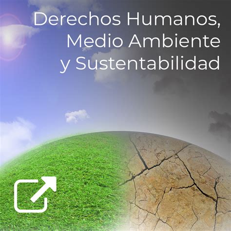 Derechos Humanos Medio Ambiente Y Sustentabilidad UDGVirtual