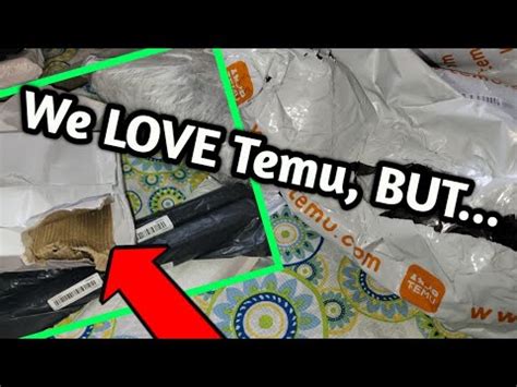 WHEN TEMU GOES WRONG Our Recent Moisture Experience Honest Review