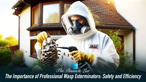 The Importance Of Professional Wasp Exterminators Safety And