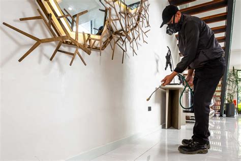 Home Pest Control Services Pestbusters Sg