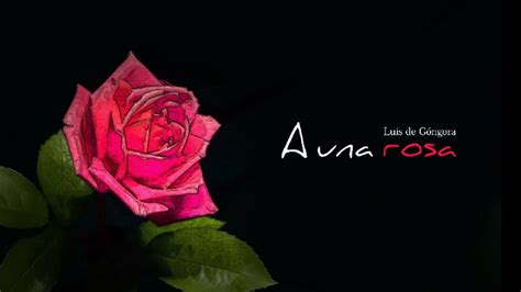 A Una Rosa Youtube