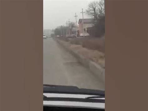Родар - YouTube