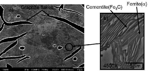 Sem Microstructure Of Pearlitic Gray Cast Iron A Graphite Flakes Download Scientific Diagram