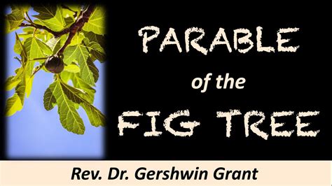 The Parable Of The Fig Tree Matthew 24 32 41 Rev Dr Gershwin