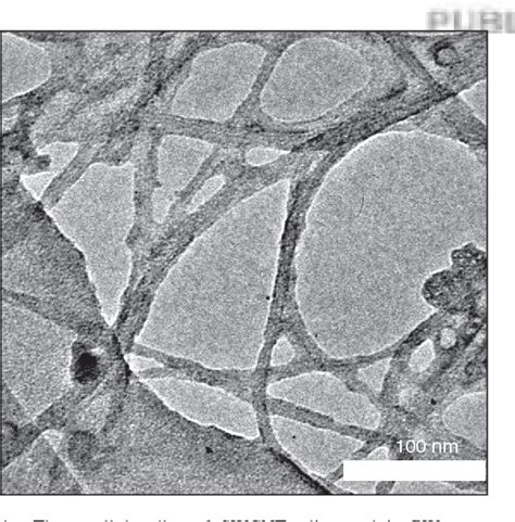 Figure 1 From A Biocompatible Chitosan Composite Containing