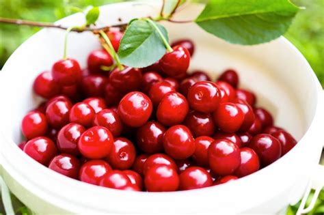 Premium Photo White Basket With A Bunch Of Cherries Closeup