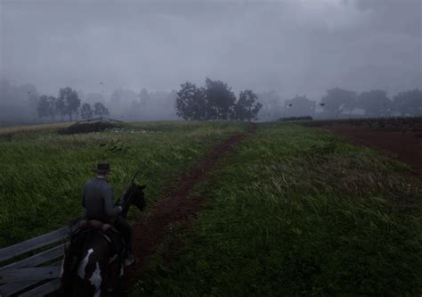 Fields R Rdr2