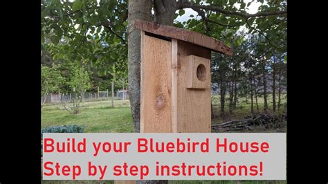 Build Your Own Bluebird House Step By Step Instructions YouTube