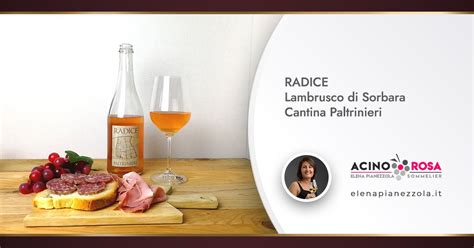 RADICE Lambrusco Di Sorbara Cantina Paltrinieri Acino Rosa