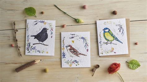 Chaffinch Eco Friendly Greetings Cards Hannah Marchant