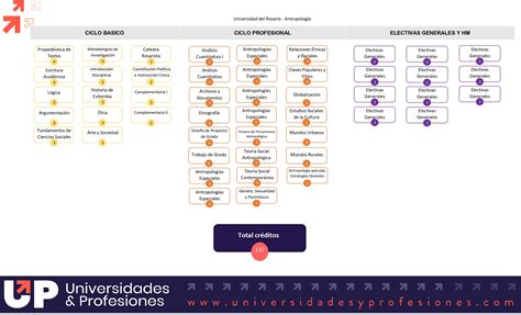 Antropología Universidad Del Rosario Elige qué estudiar en la