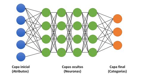 Para qué sirven las redes neuronales Innovación con Hilmer