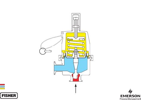 Emerson Type Sr5 Sanitary Pressure Regulator Drawings And Schematics