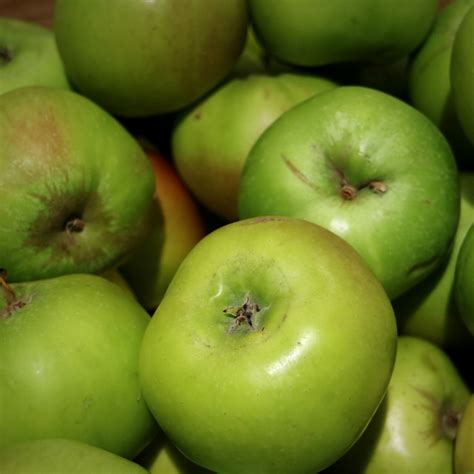 Bramley Apples Each Essington Farm