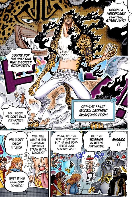 Rob Lucci Awakened Form One Piece Drawing One Piece Manga One Piece