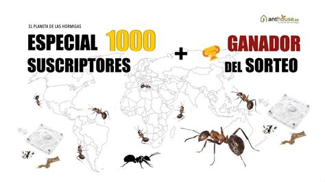 Especial 1000 Suscriptores Y Ganador Del Sorteo El Planeta De Las