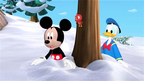 Image - Mickey, donald and baby red bird.jpg | Disney Wiki | FANDOM ...