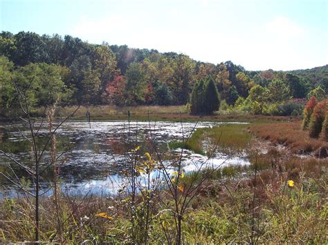 Hoosier hiking Hoosier national forest - HOOSIER HIKING .COM