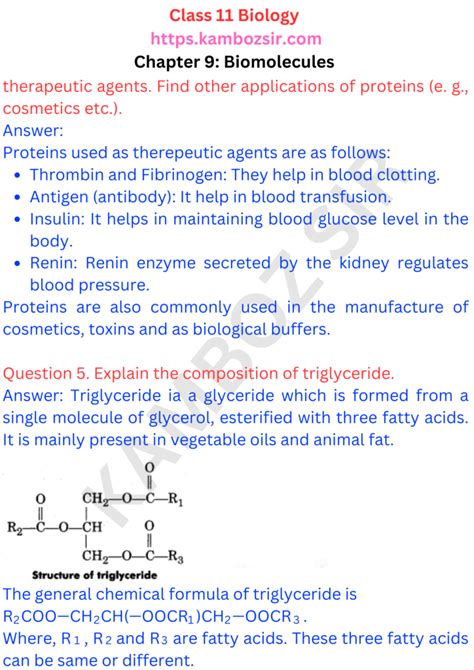 Class 11th Biology Chapter 9 Biomolecules Solution Kamboz Sir