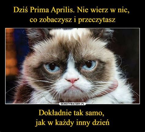 Internauci w formie Oto najlepsze memy o Prima Aprilis Można się