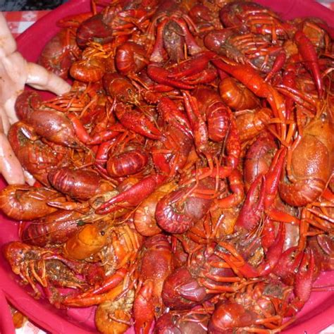 Breaux Bridge Crawfish Festival | Crawfish season, Breaux bridge crawfish festival, Crawfish