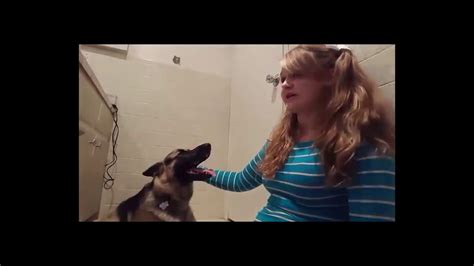 Dog Sex Story Update Whitney Wisconsin Youtube