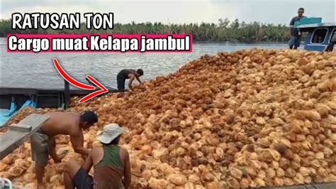 RATUSAN TON KAPAL CARGO BERMUATAN KELAPA JAMBUL YouTube