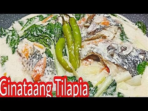 How To Cook Ginataang Tilapia With Pechay Fish Recipe Youtube