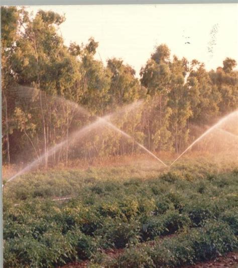 Agricoltura Coldiretti La crisi idrica è finita ma ora attenzione ai