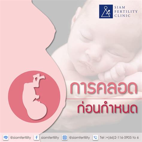 Thailand Ivf Hospital And Clinic Data Center Blog Siam Fertility