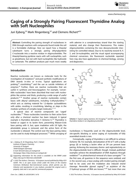 Pdf Caging Of A Strongly Pairing Fluorescent Thymidine Analog With