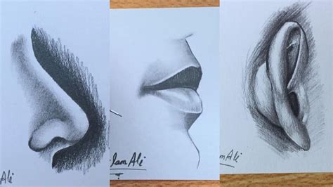 رسم الانف والاذن والفم من الجانب Draw Nose Ear And Mouth From Side