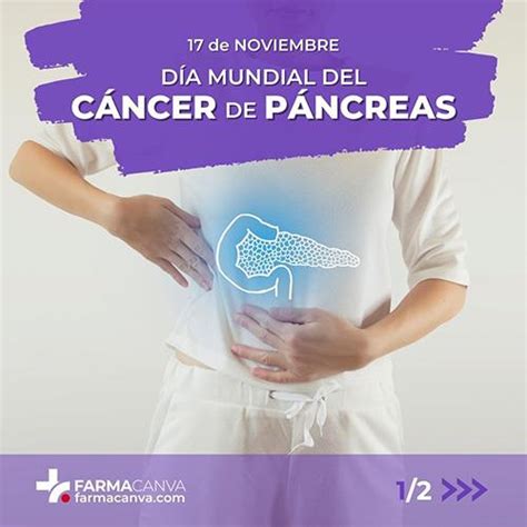 17 • Noviembre • DÍa Mundial Del CÁncer De PÁncreas Farmacanva