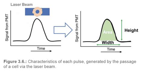 Microfluidic Cell Sorting Technology - Nanocellect